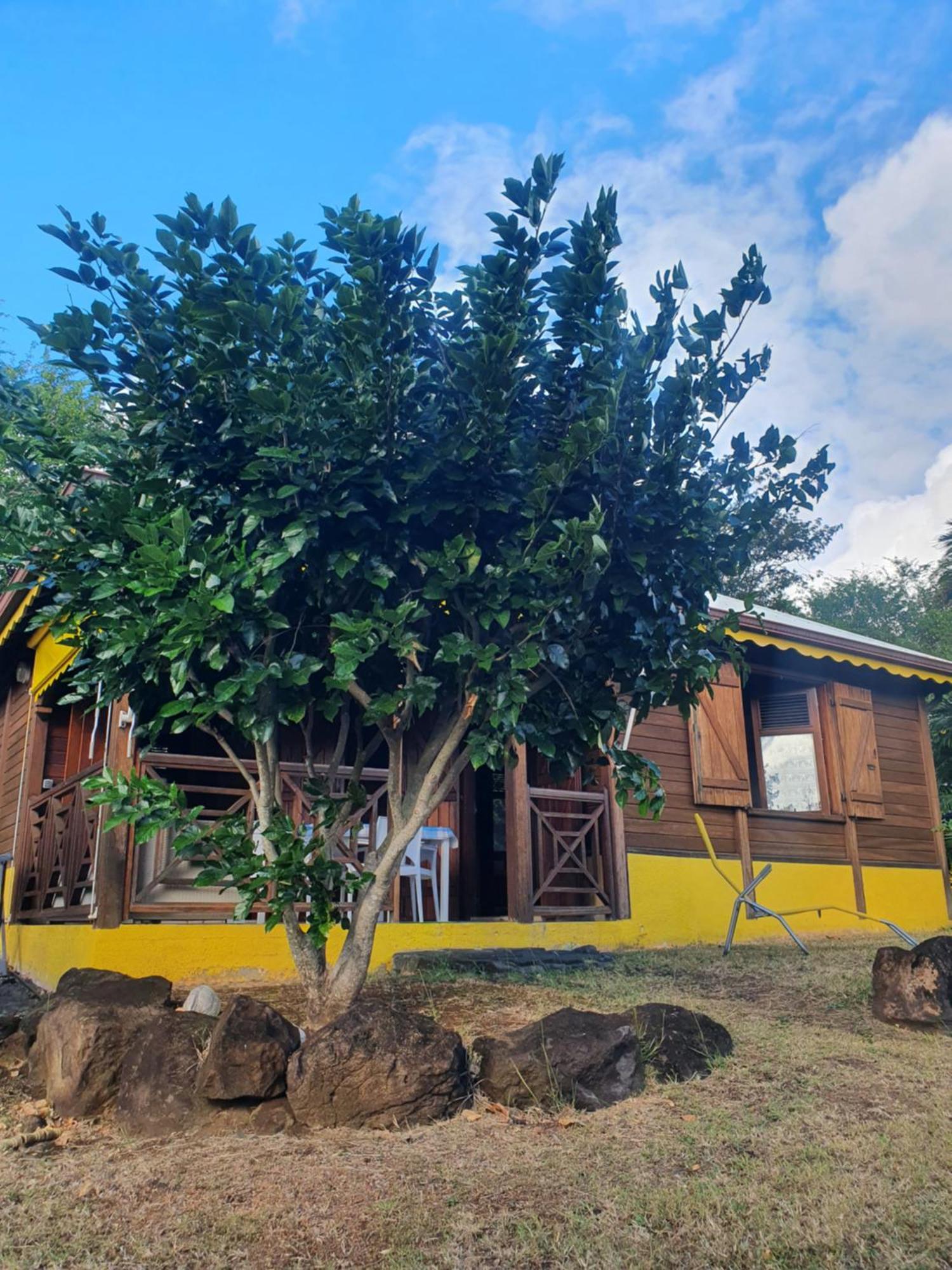 Cottage La Pointe Marine Deshaies Ngoại thất bức ảnh