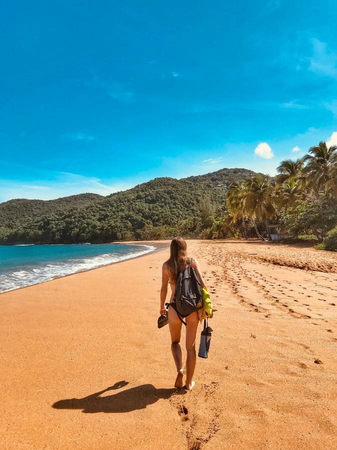 Cottage La Pointe Marine Deshaies Ngoại thất bức ảnh