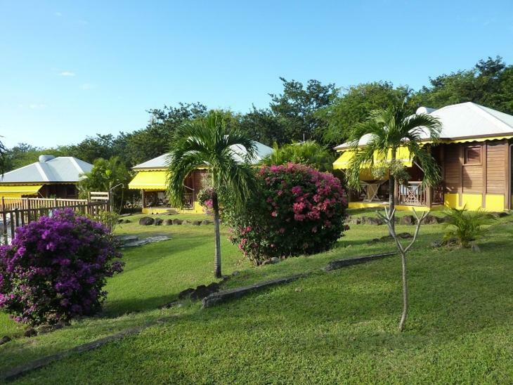Cottage La Pointe Marine Deshaies Ngoại thất bức ảnh