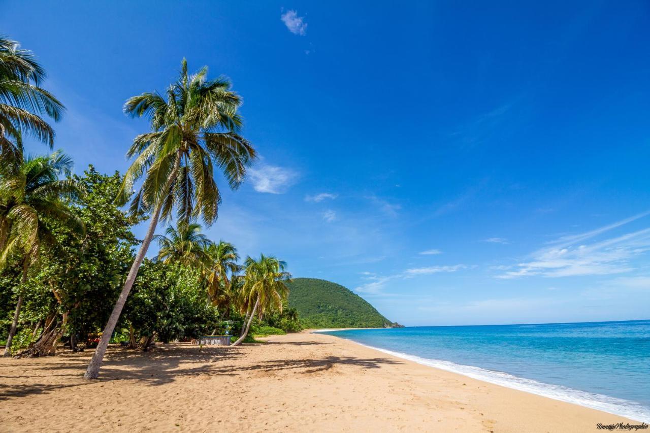 Cottage La Pointe Marine Deshaies Ngoại thất bức ảnh